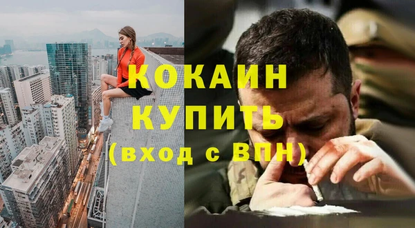 ГАЛЛЮЦИНОГЕННЫЕ ГРИБЫ Пересвет