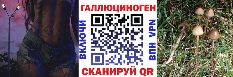 Галлюциногенные грибы ЛСД Петров Вал