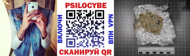 omg ONION  Петров Вал  Псилоцибиновые грибы мицелий 